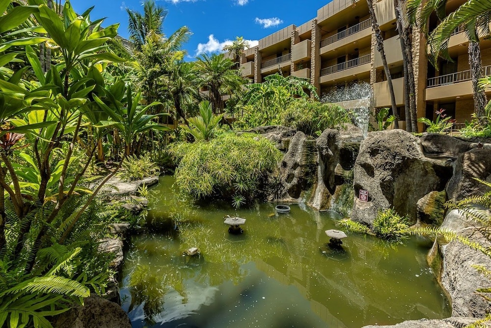 Paki Maui 411 1 Bedroom Condo