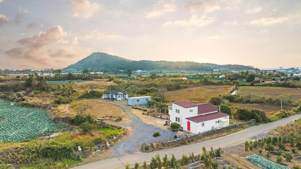 Jeju Orsirok Dogchaepension view 3