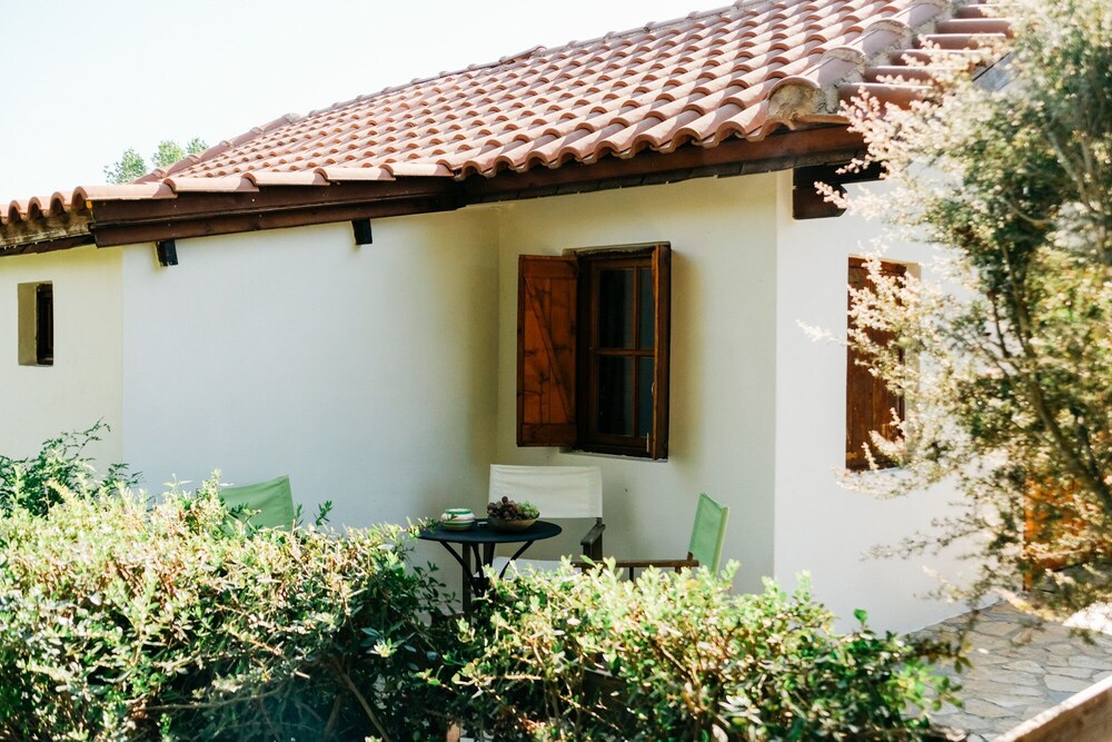 Photo 31