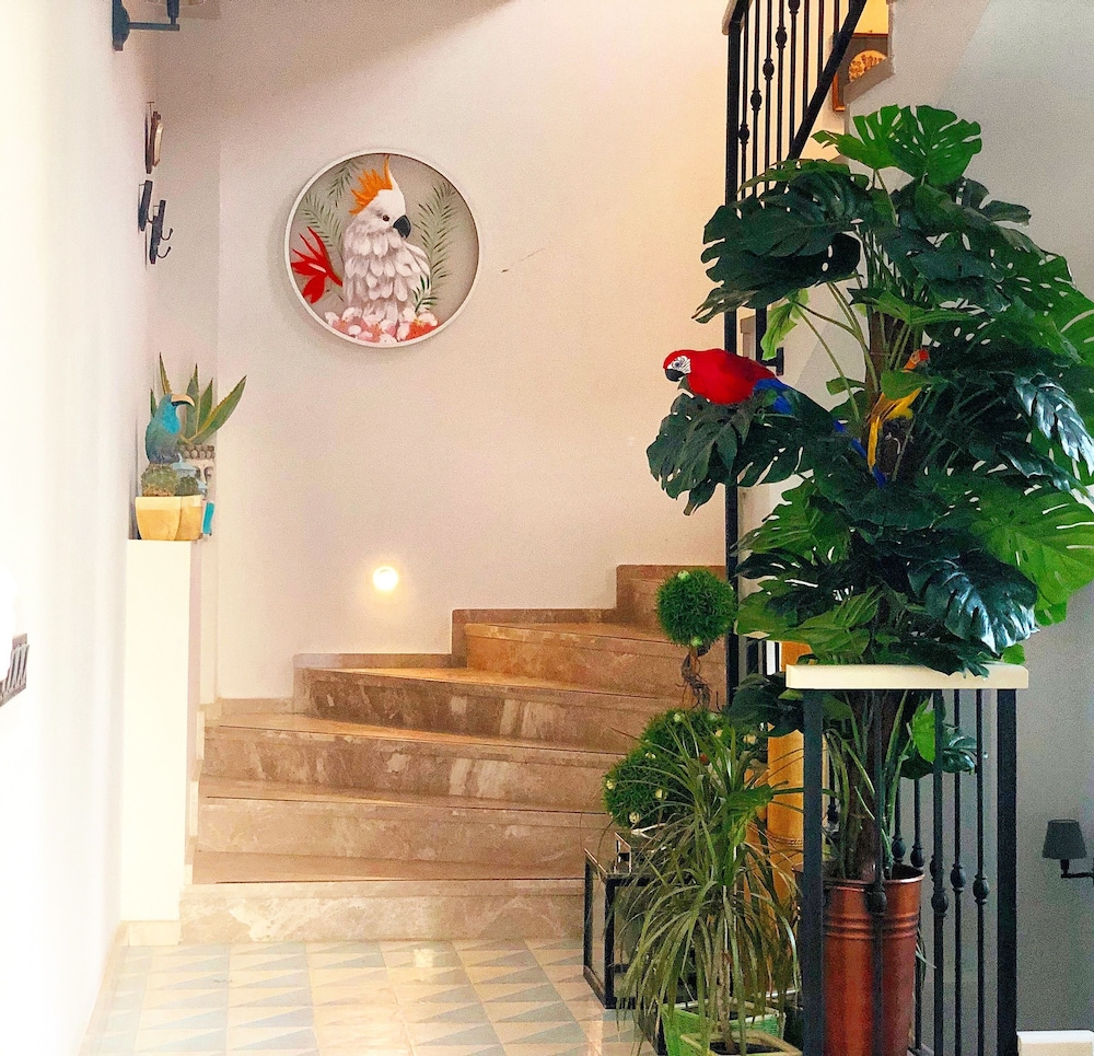 Windtown Deluxe Alaçatı - Yetişkinler İçin - Image 32