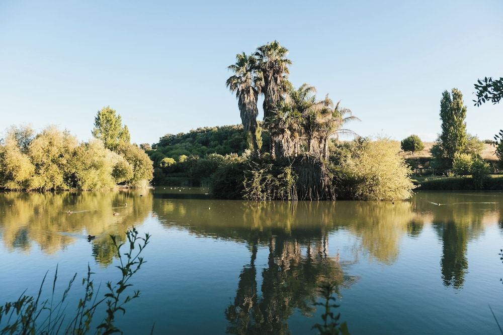 Parque dos Monges