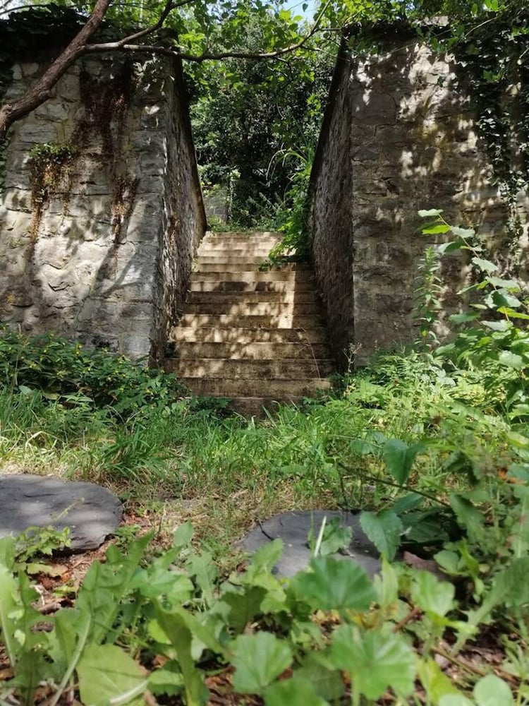 Photo 31