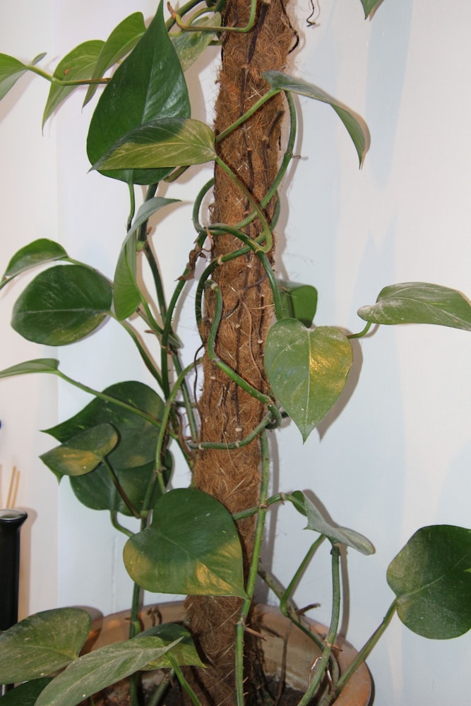 Worthing Vacations - The Enclave - Property Image 48