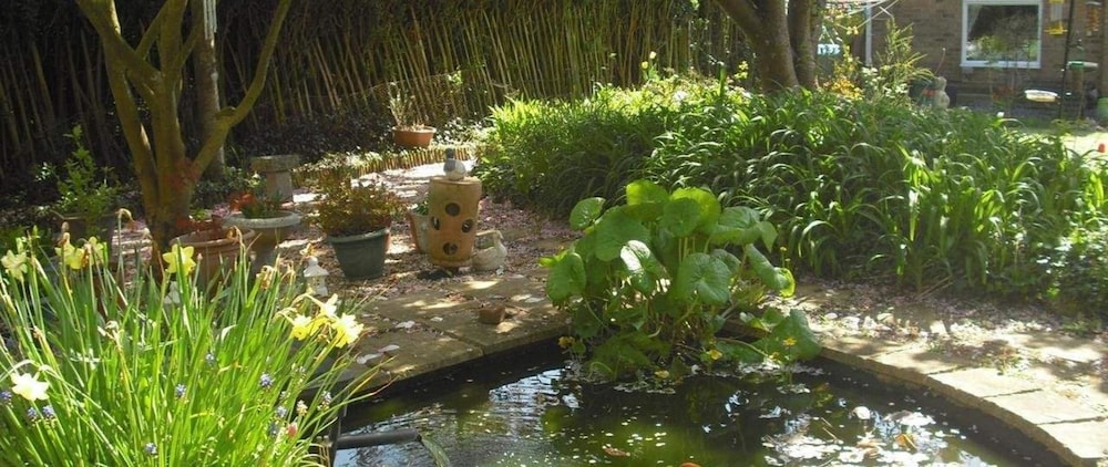 Cherry Garden BnB