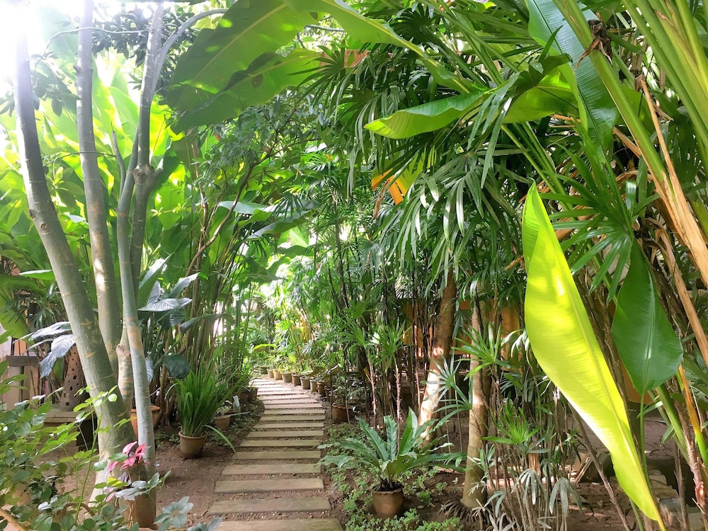 Breeze of Pai Guesthouse
