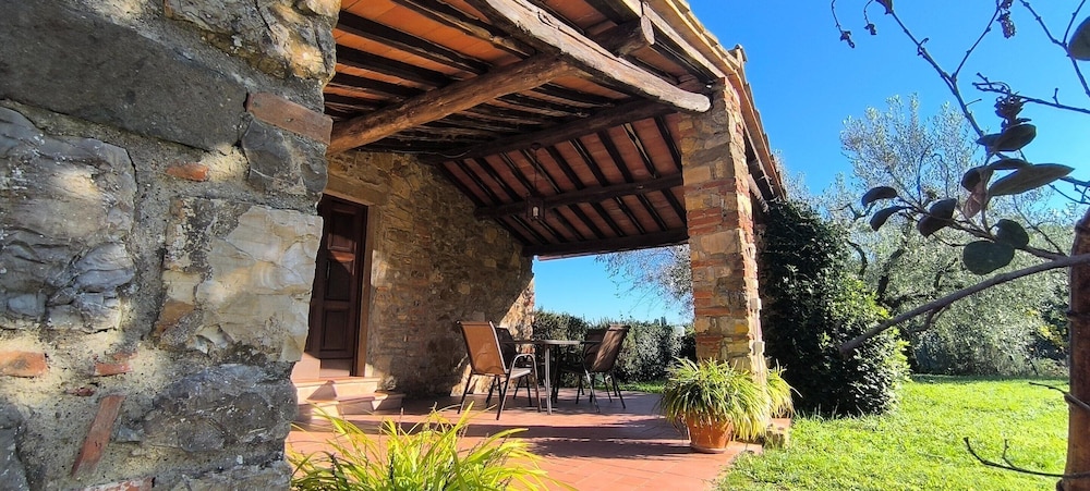 Farmhouse in Tuscany With Olive Grove Views