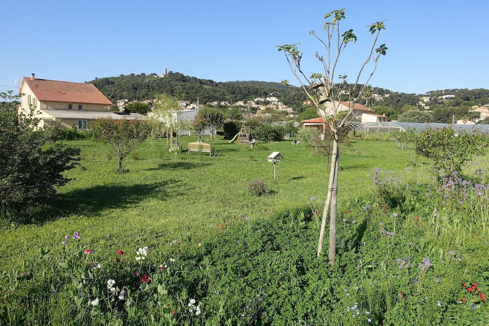 Photo 43