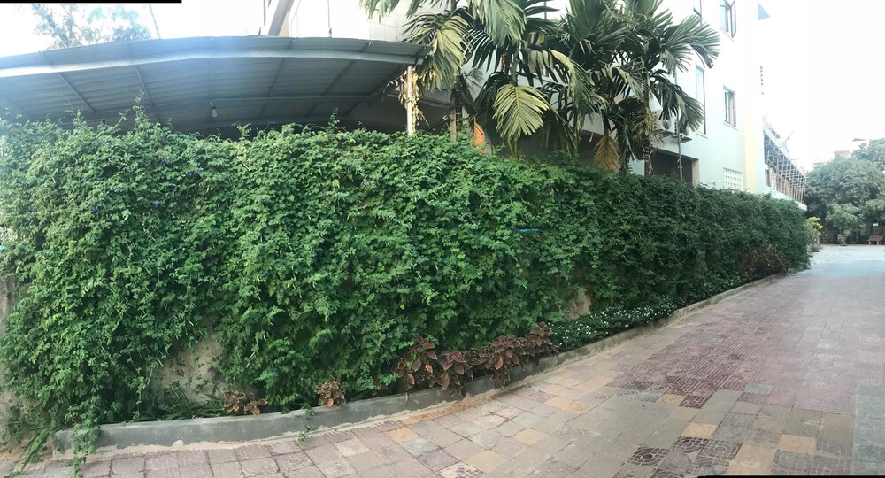 Photo 36