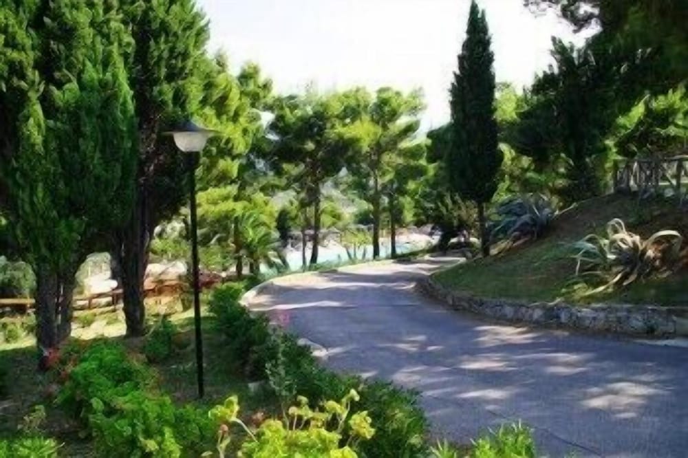 Photo 46
