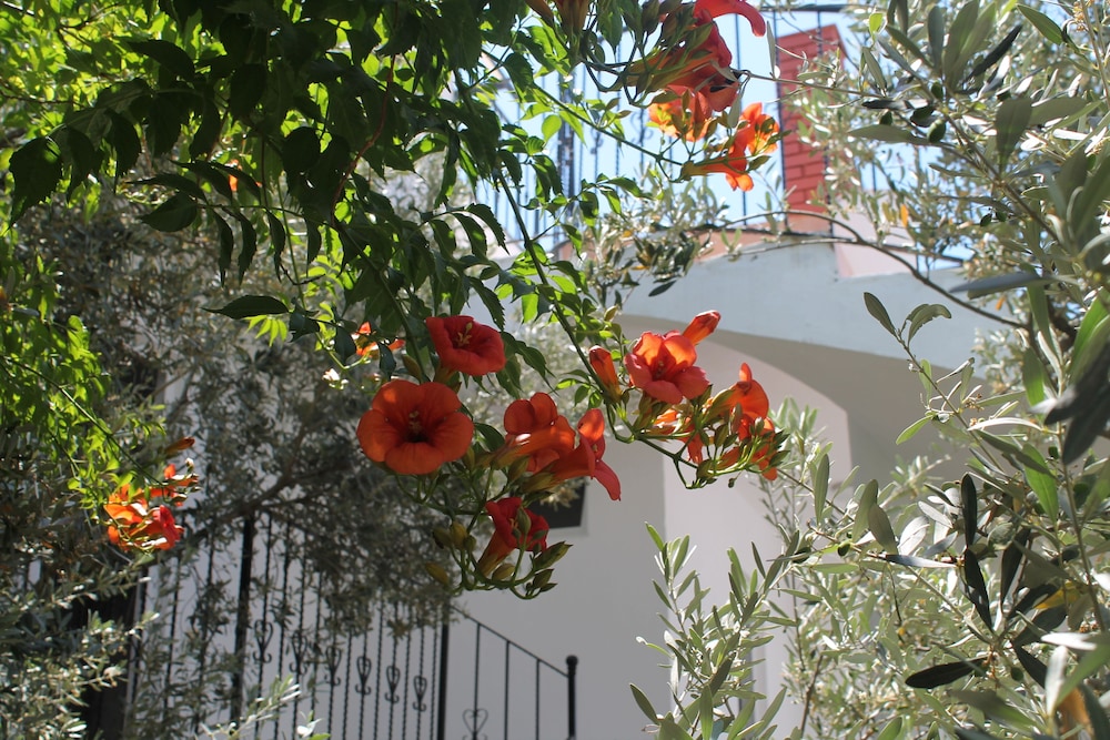 Lizo Hotel - Image 27