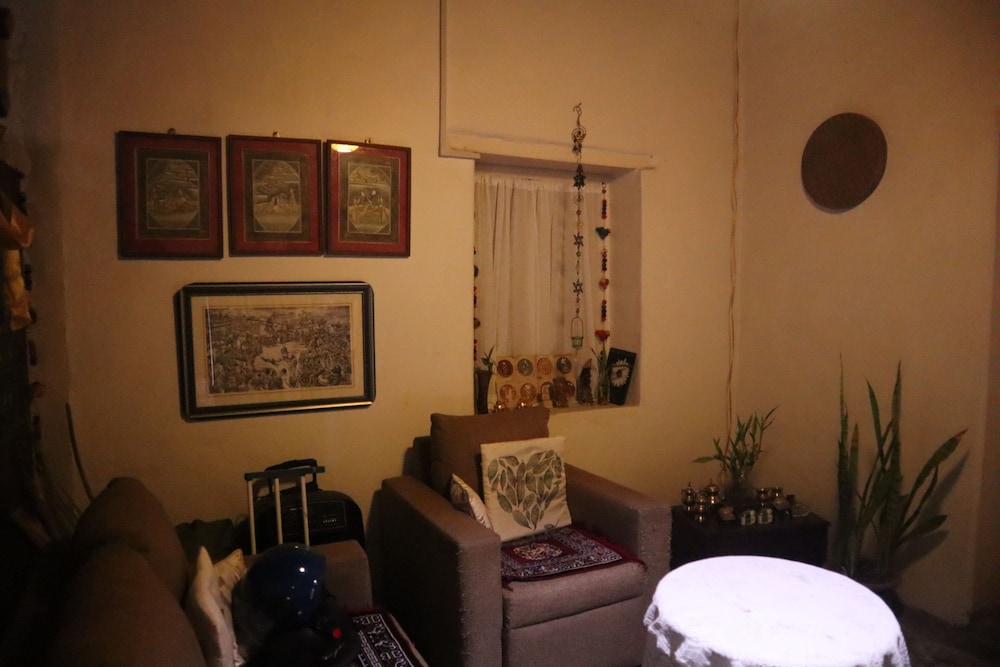The Bicknell's Nest