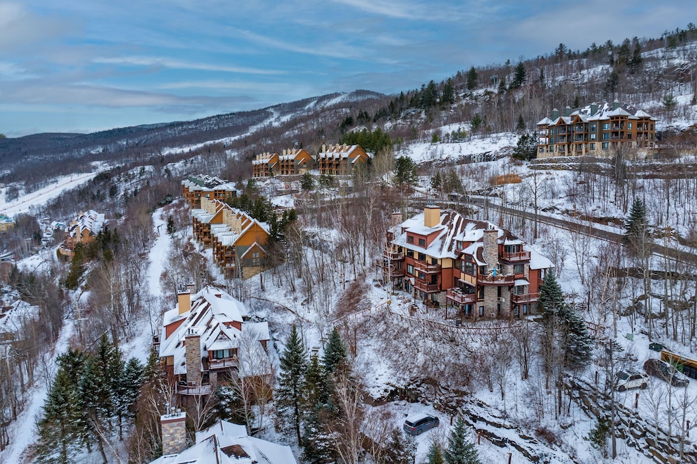 Algonquin by RVMT