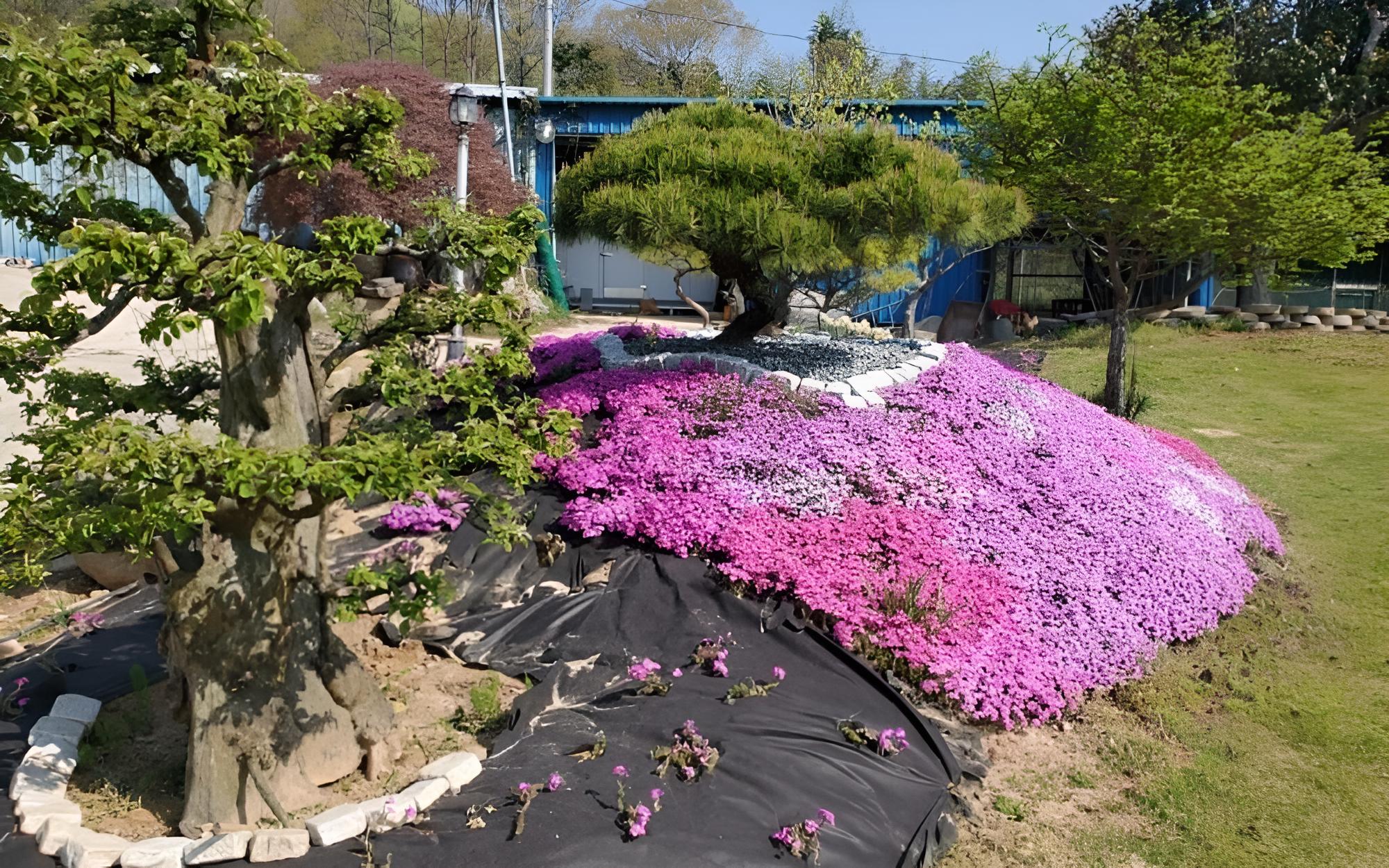 Photo 46