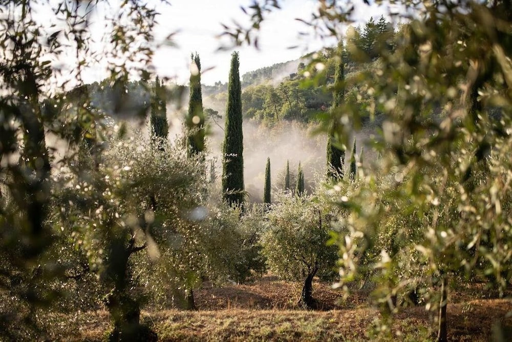 Luxury 6-bed Tuscan Villa Near Lucca and Florence view 3