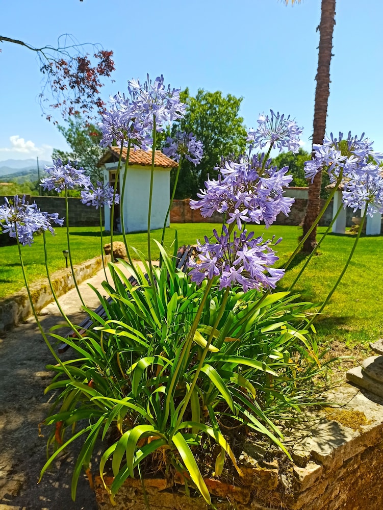 LA VENTA DE MIYARES - CASA DE INDIANOS view 4
