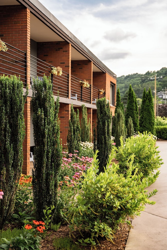The Beaucatcher – A Boutique Motel, photo 24