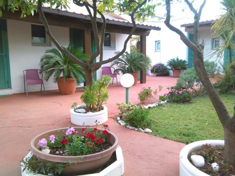 Photo 9