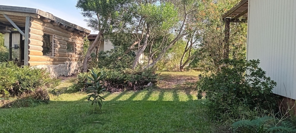 Photo 31