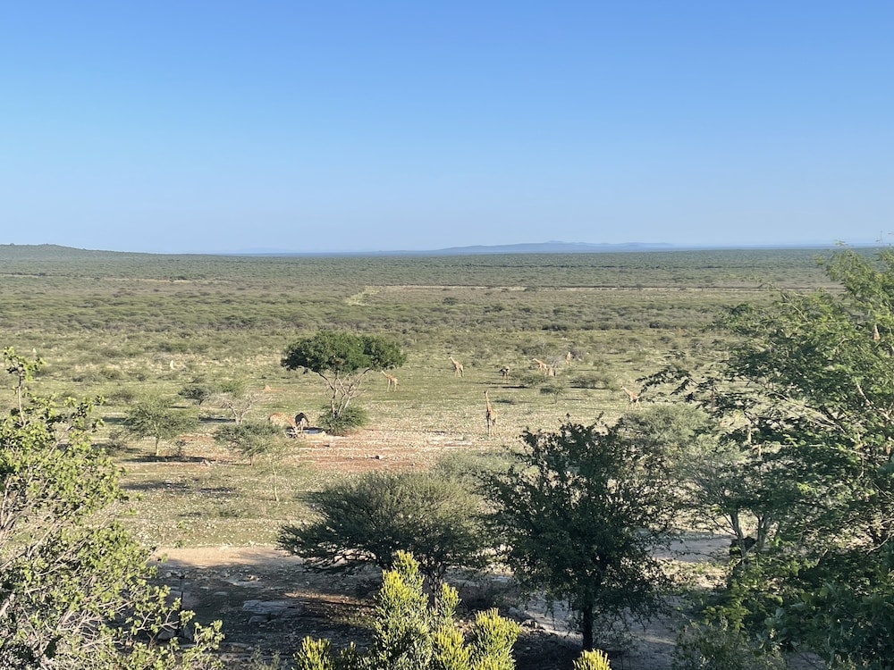 Aloegrove Safari Lodge