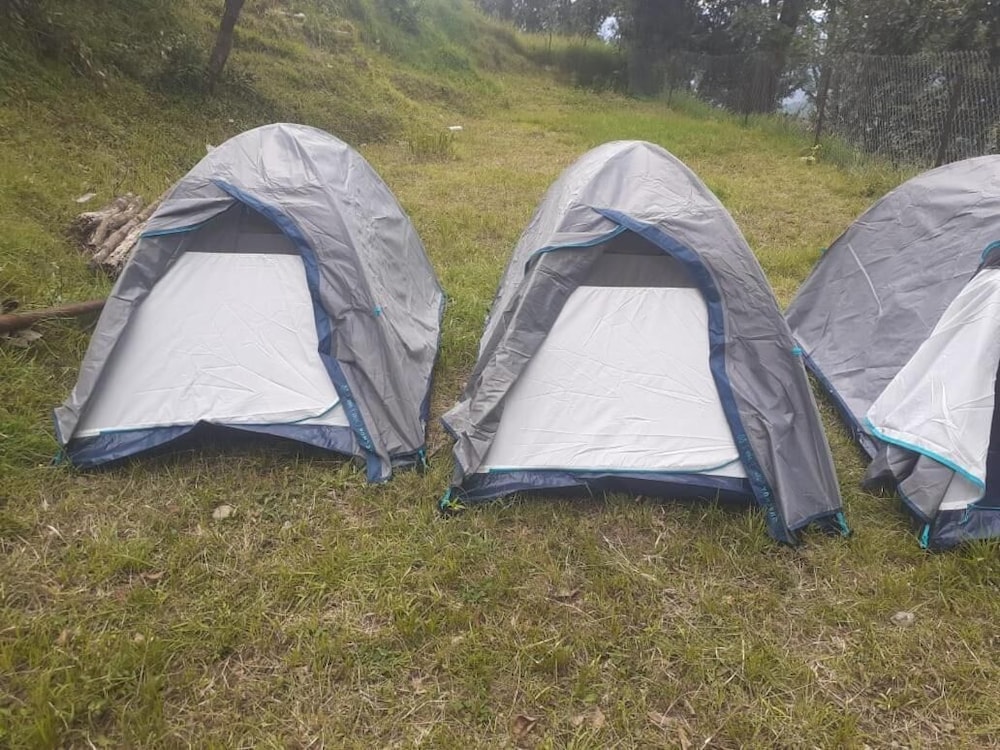Janardan Campsite Kausani