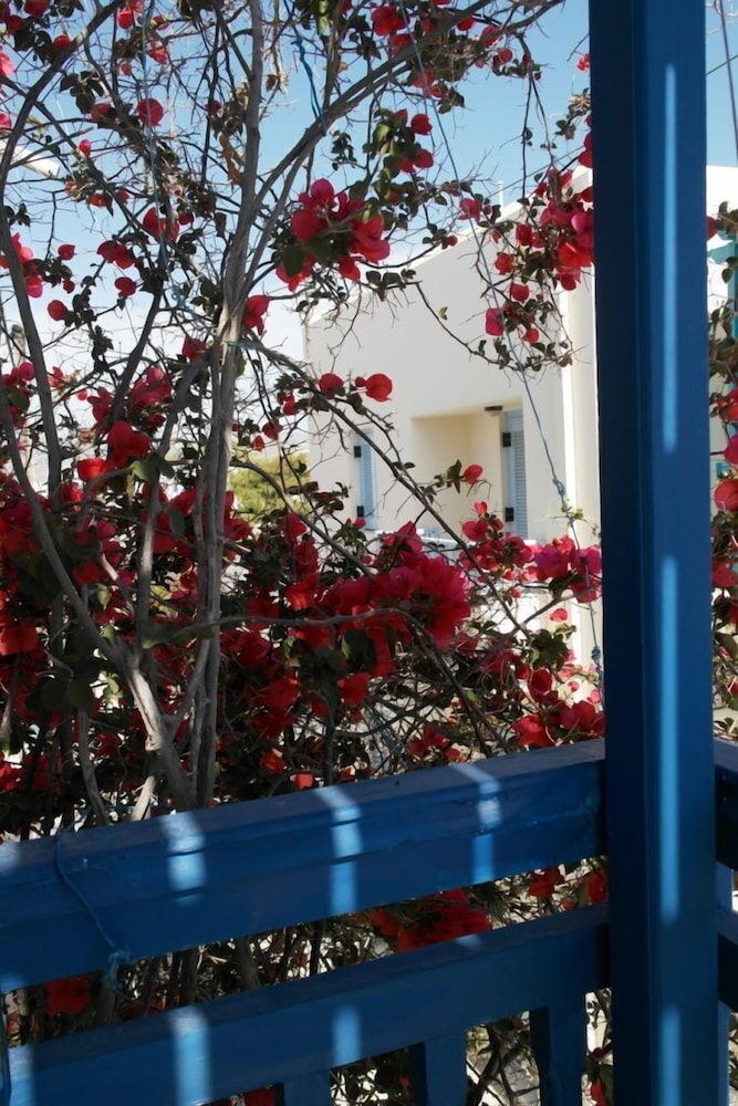 Pigasos Studios