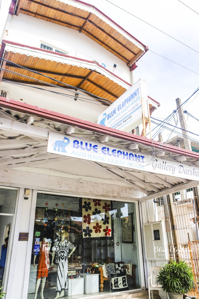 Blue Elephant Guest House