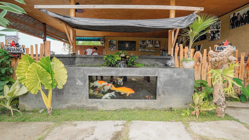 Mona Bali Guest House