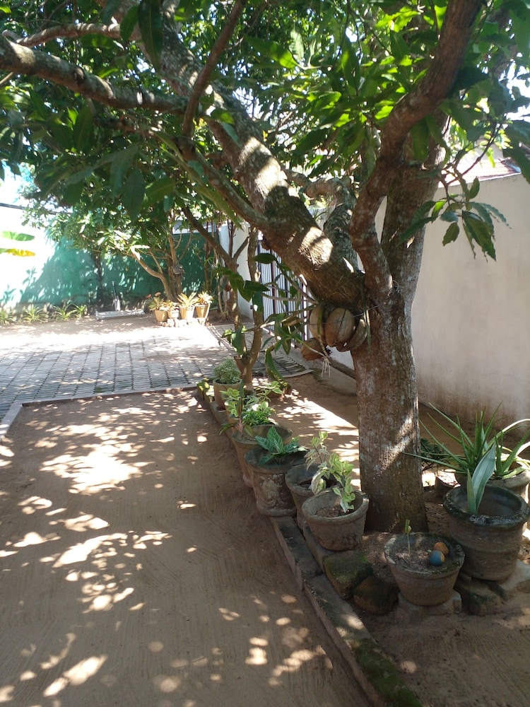 Amible guest home