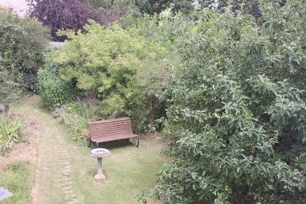 Photo 22