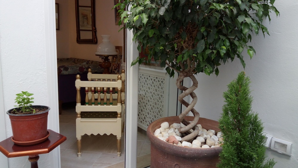 El Patio Courtyard House