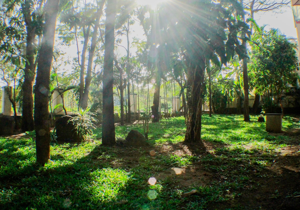 Rainwood Residency