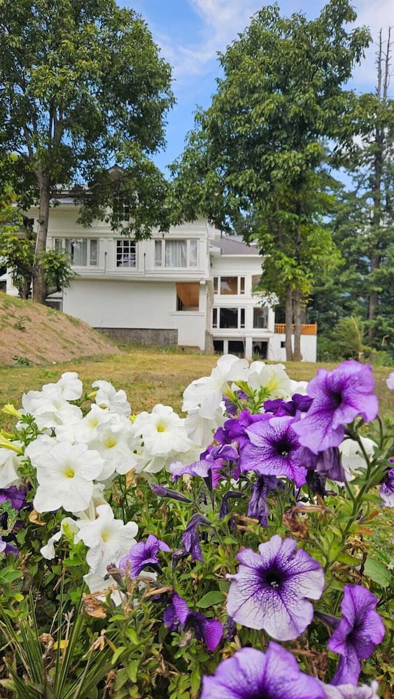 Xenious White House Eco Resort