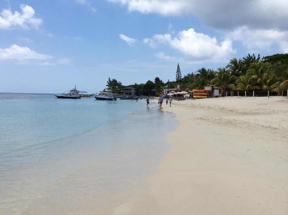 Tortuga Bahia Lower Unit