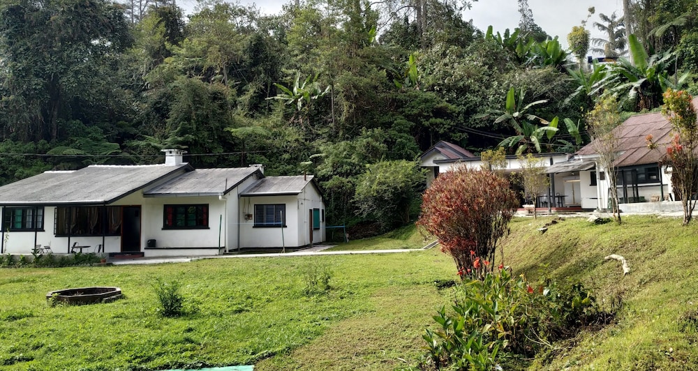 Farm Guest House - Hostel photo 5