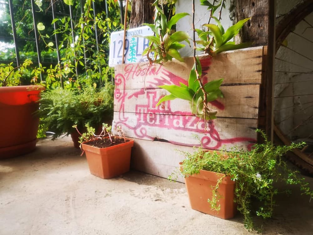 La Terraza Hostel view 2