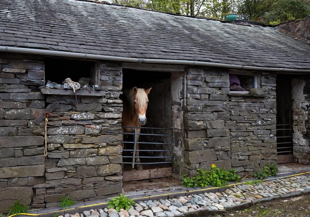 Jane's Cottage