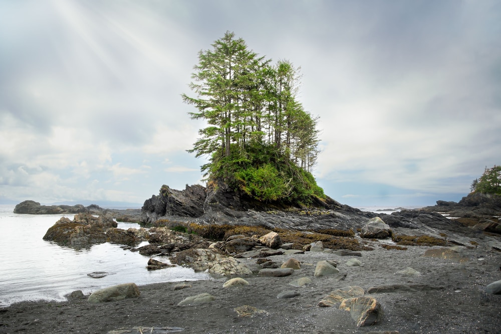 Handsome Dan's Port Renfrew