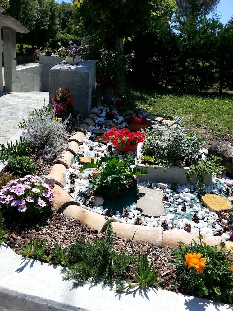 Photo 31