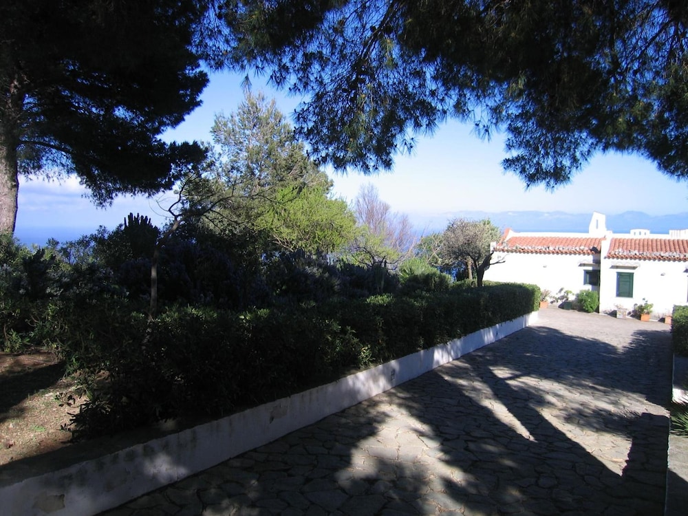Photo 51