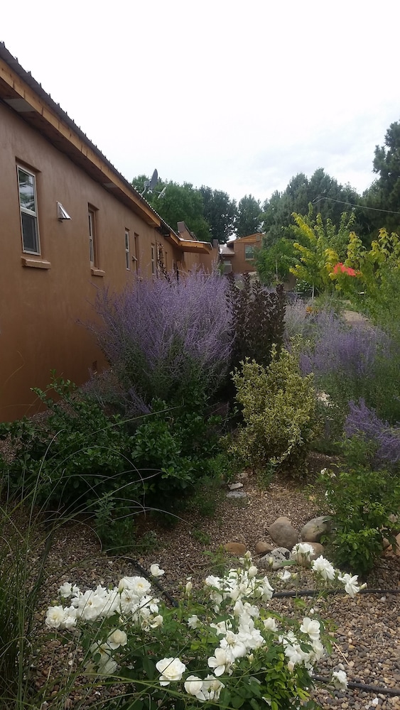 Stone Lizard Lodging