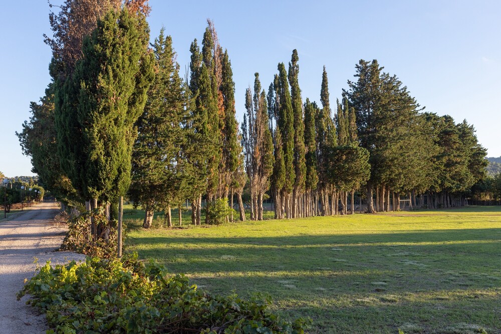 Photo 26