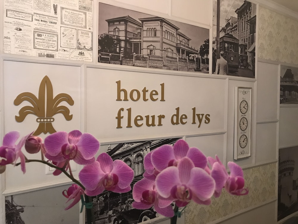 Hotel Fleur De Lys - Property Image 6