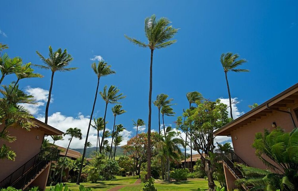 Maui Sands #5g 2 Bedroom Condo by RedAwning