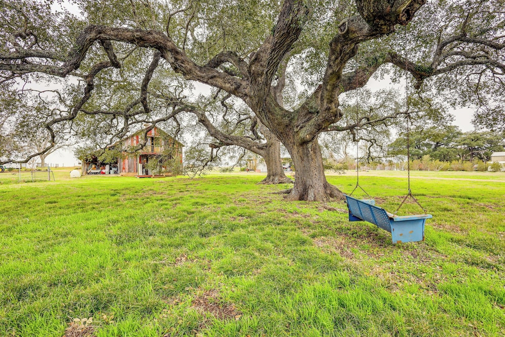 Large Yard + Pond: Fayetteville Rural Retreat