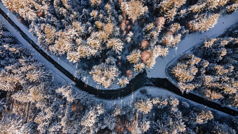 InterContinental Resort Jiuzhai Paradise by IHG 137