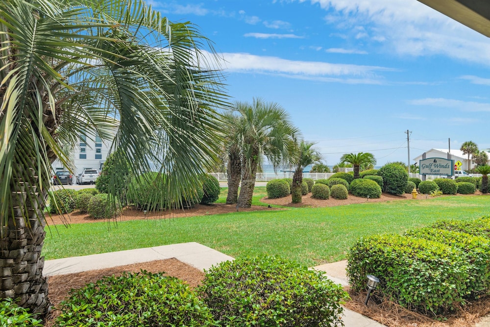 Gulf Winds East #3
