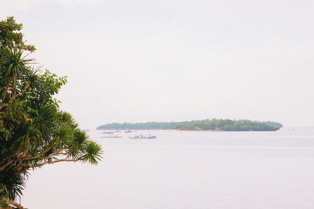 Tulang Diot View and Turtle Haven