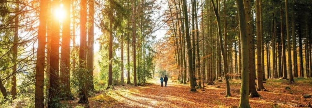 Pets Welcome, Veluwe Farmhouses for All