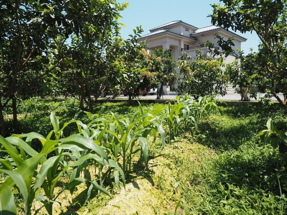 Green Island Guest House