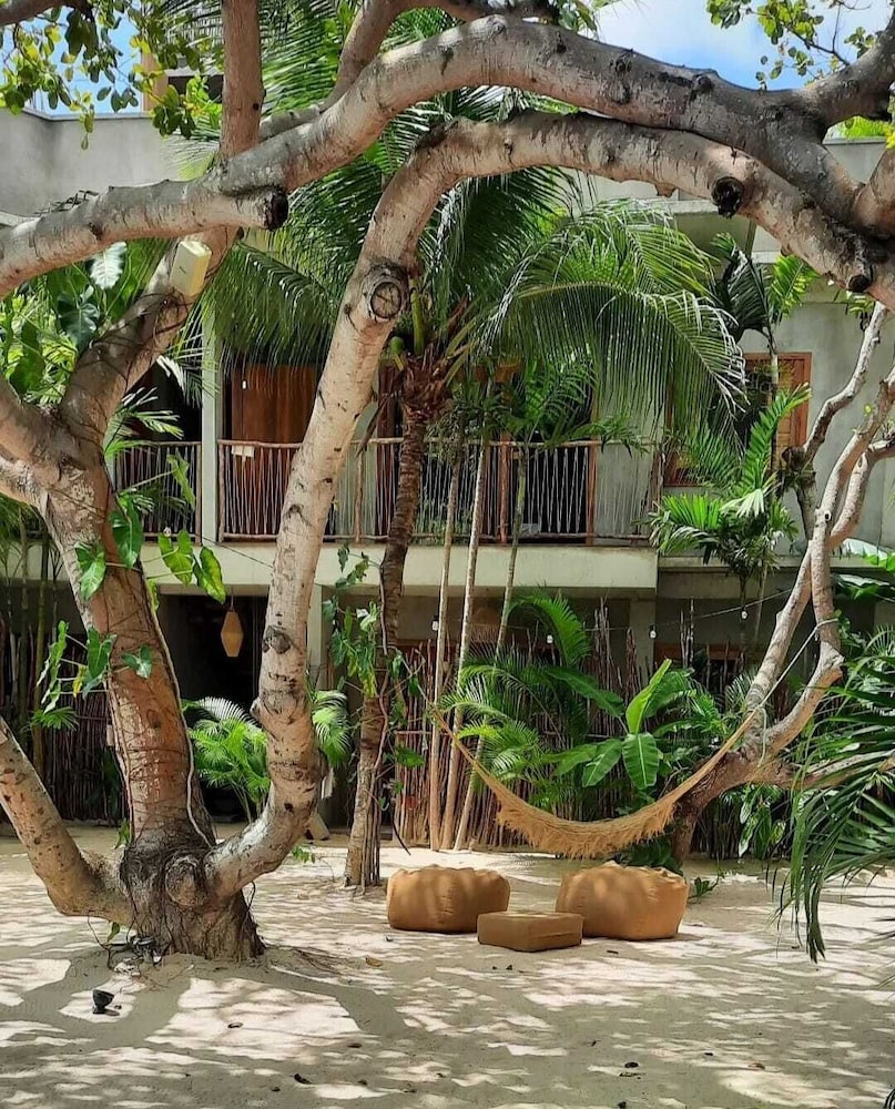 Villa Mango Jeri
